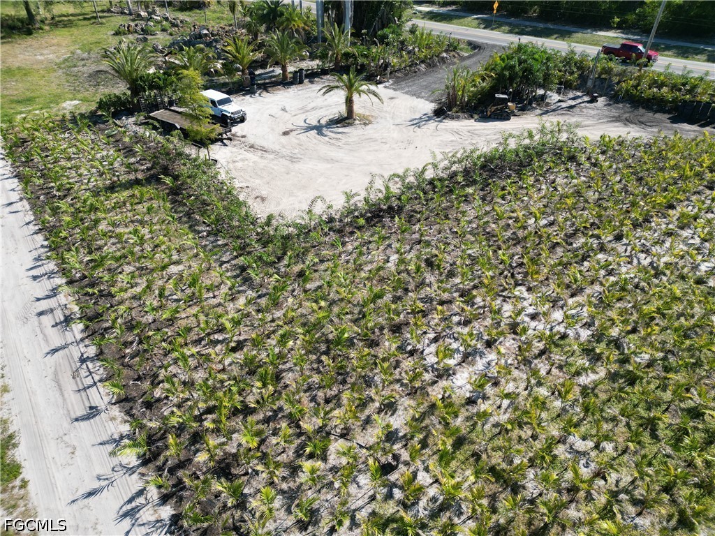 11851 Stringfellow Road Bokeelia, FL 33922 - Photo 3 of 26 a view of a tree with a yard