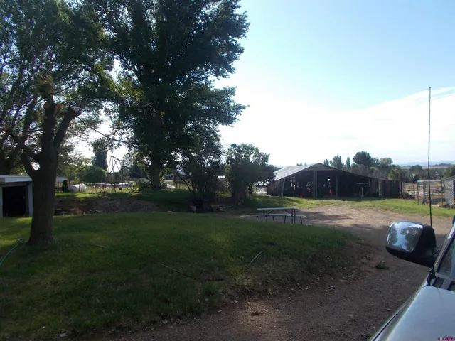 a view of a backyard with large trees