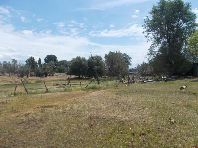 a view of outdoor space with deck and trees
