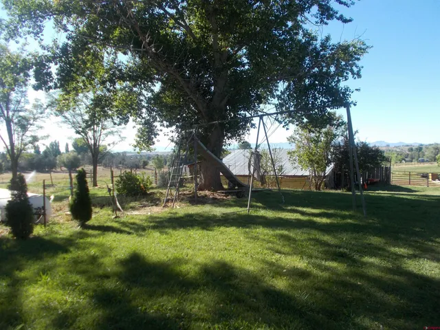 a view of a yard with plants and trees