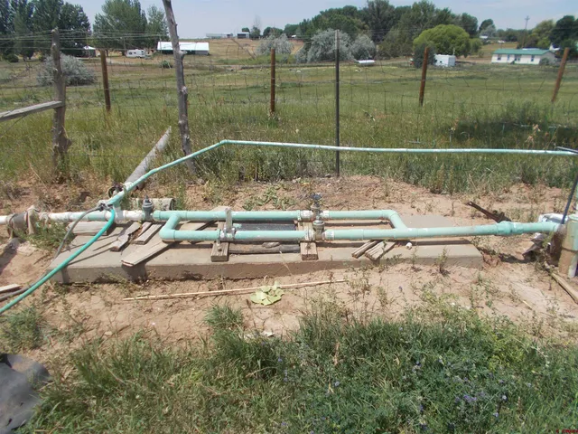 a view of a garden with a lake