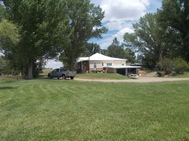 a view of a field with an trees