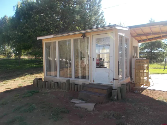 a view of a yard with plants and a large tree