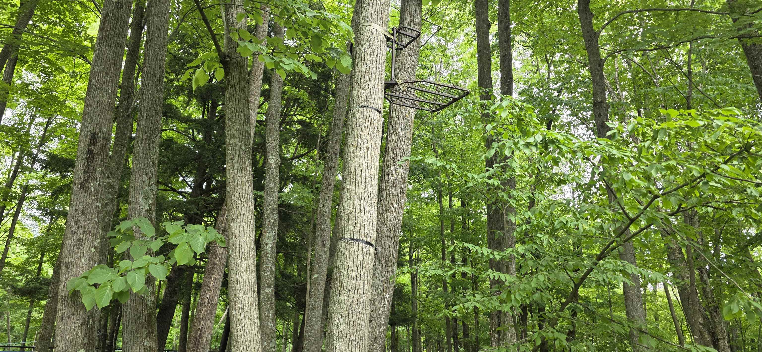 Springbrook Road Tigerton, WI 54486 - Photo 54 of 56