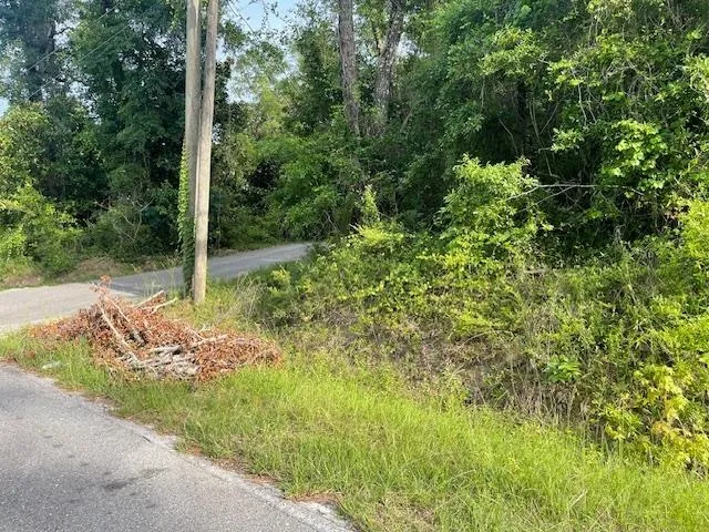 $29,900 | Xxx Collins Landing Road, Unit 2 5&6, Tallahassee, FL 32310