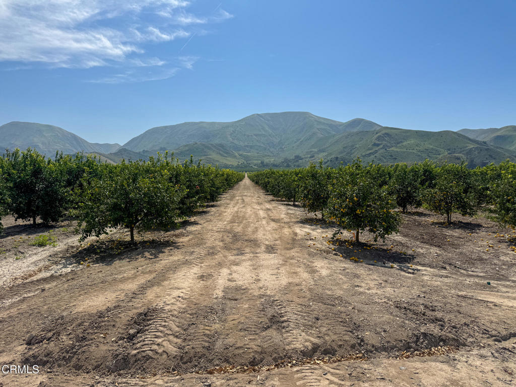 2417 South Mountain Road Fillmore, CA 93015 - Photo 17 of 23 IMG_0380