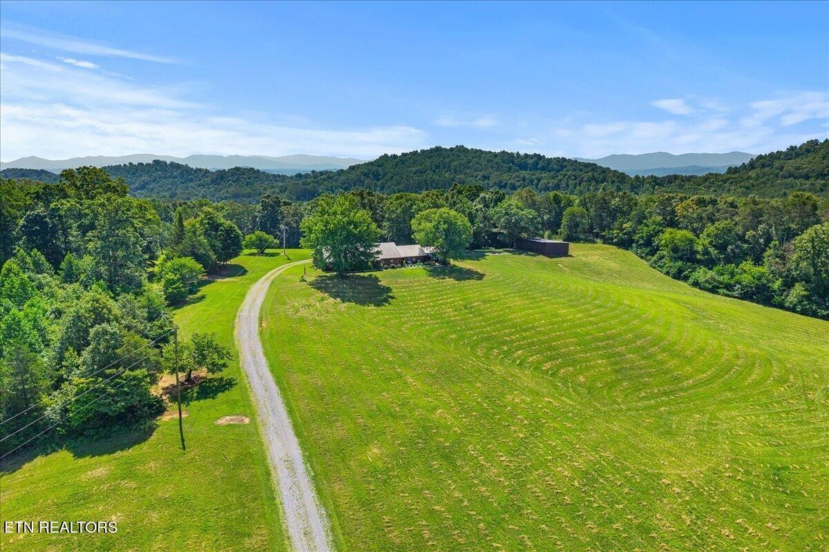 910 Reagan Valley Road Tellico Plains, TN 37385 - Photo 41 of 58 Gallery Image 41