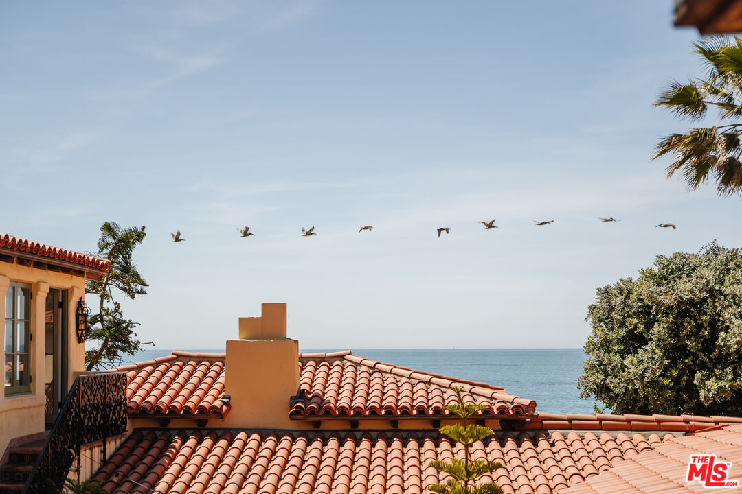 35145 Beach Road Dana Point, CA 92624 - Photo 2 of 57 a bedroom with a bed and a potted plant