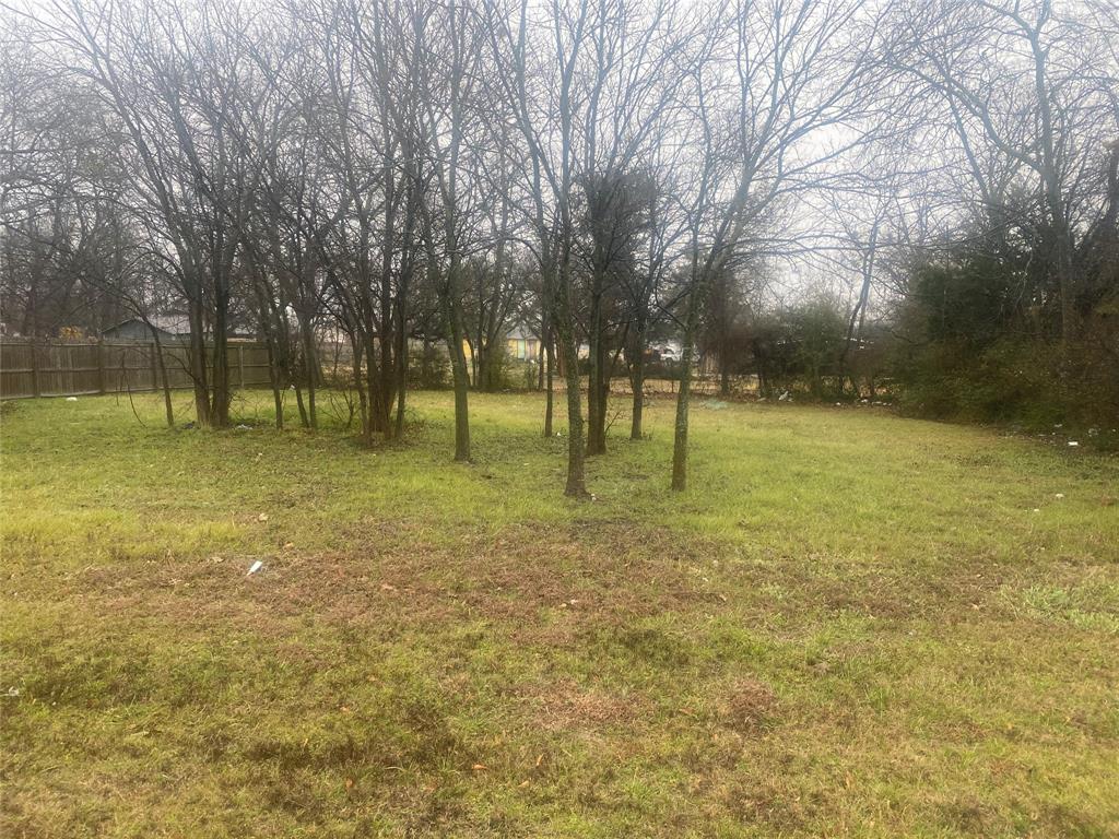 a view of a yard with a tree