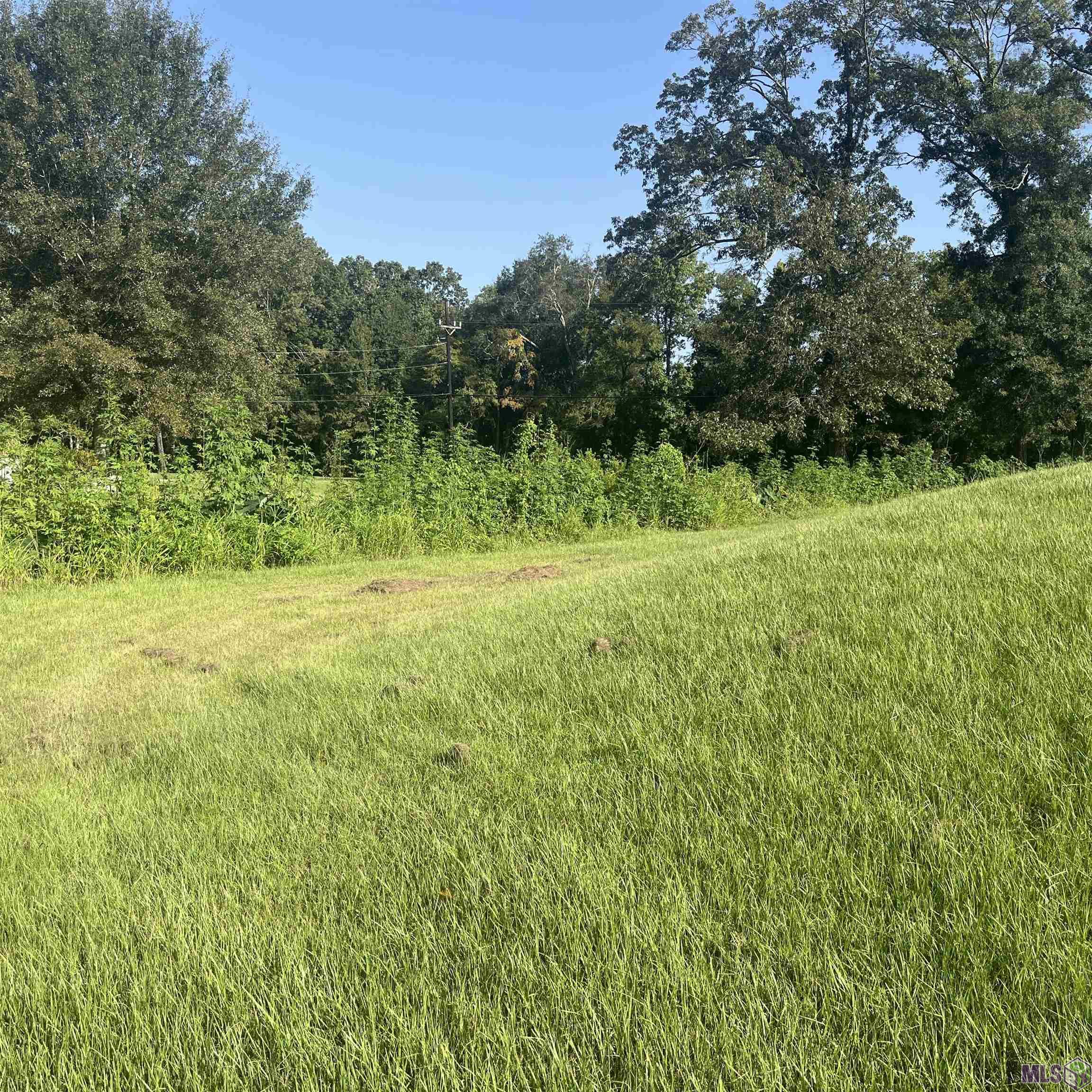 22718 Hoo Shoo Too Road Baton Rouge, LA 70817 - Photo 3 of 5 Gallery Image 3