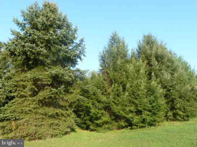 849 Creek Road Newport, PA 17074 - Photo 15 of 17 Gallery Image 15