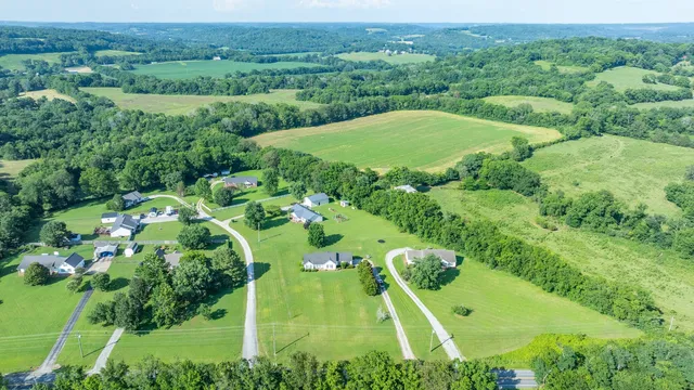 an aerial view of residential houses with outdoor space and trees