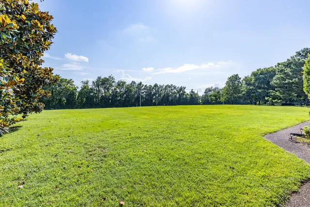 a view of yard with swimming pool and green space
