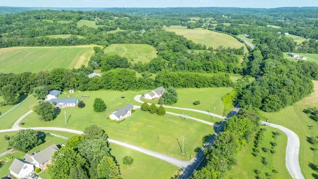 an aerial view of a houses with a yard