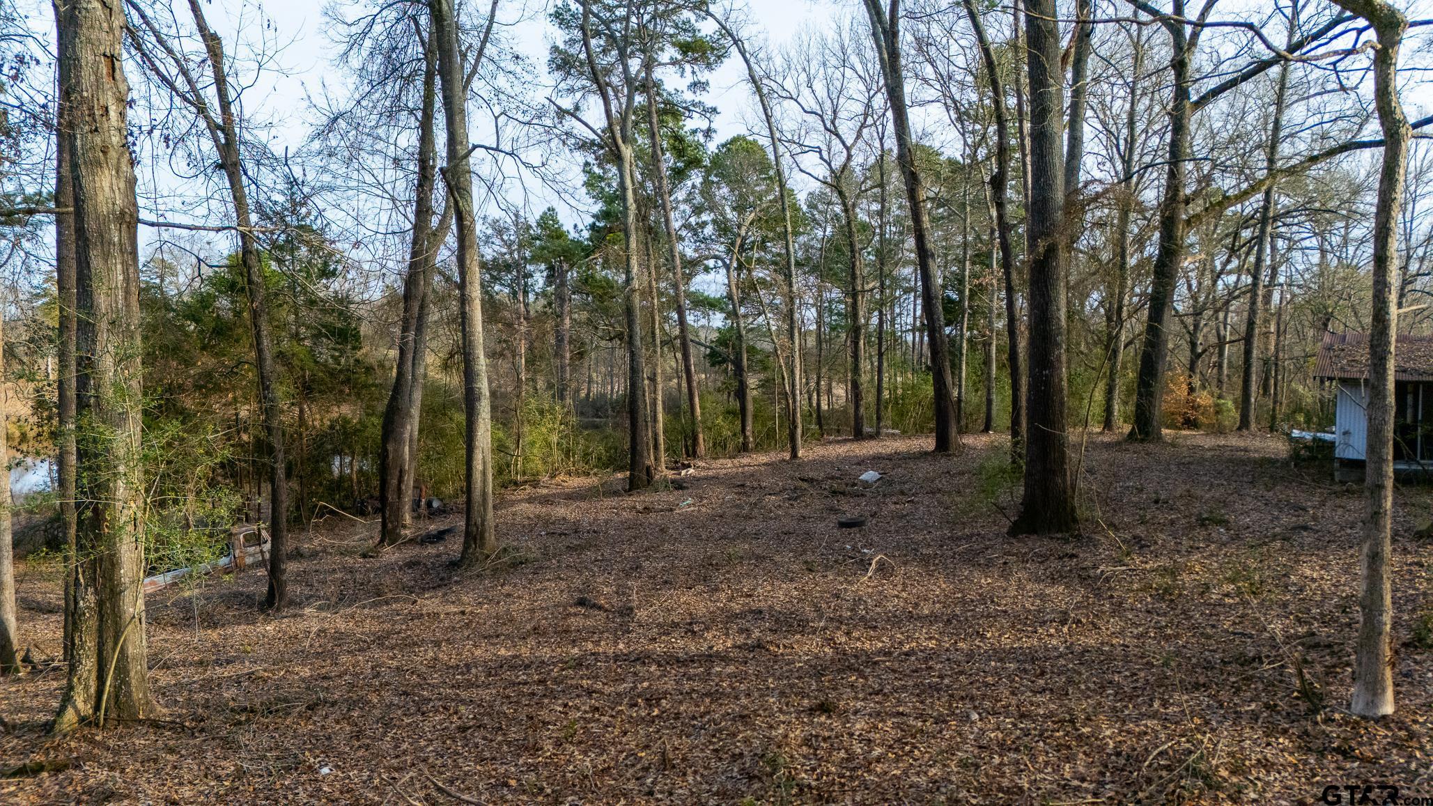 1044 Red Cedar Road Big Sandy, TX 75755 - Photo 18 of 22 Gallery Image 18