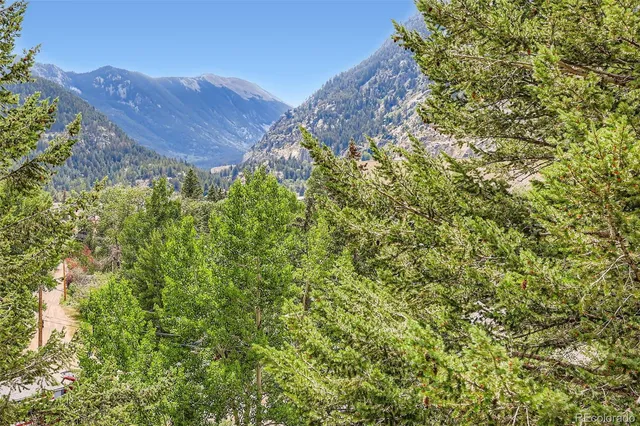 a view of a lush green field
