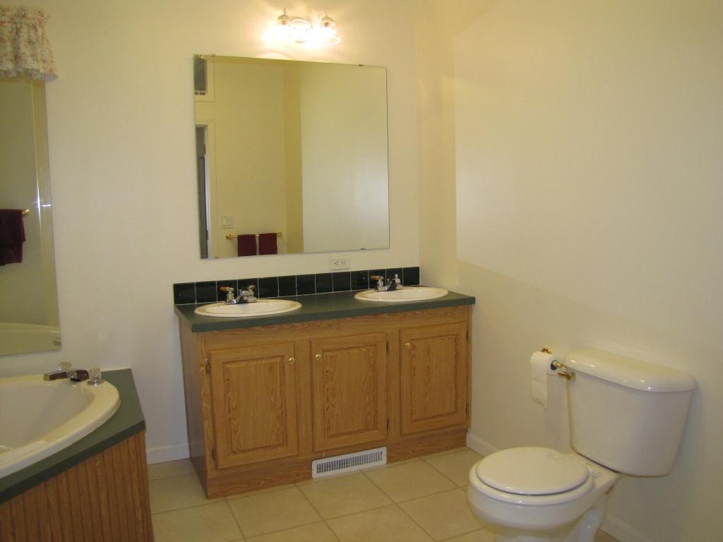110 Old Post Road Moneta, VA 24121 - Photo 13 of 99 Master Bath- View