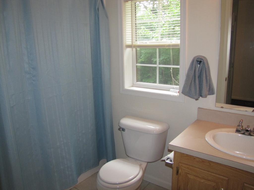 110 Old Post Road Moneta, VA 24121 - Photo 31 of 99 a bathroom with a toilet sink and window