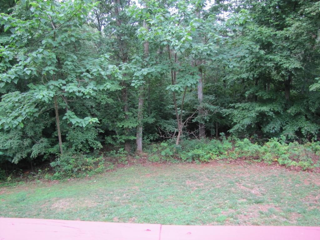 110 Old Post Road Moneta, VA 24121 - Photo 47 of 99 a view of outdoor space and green space