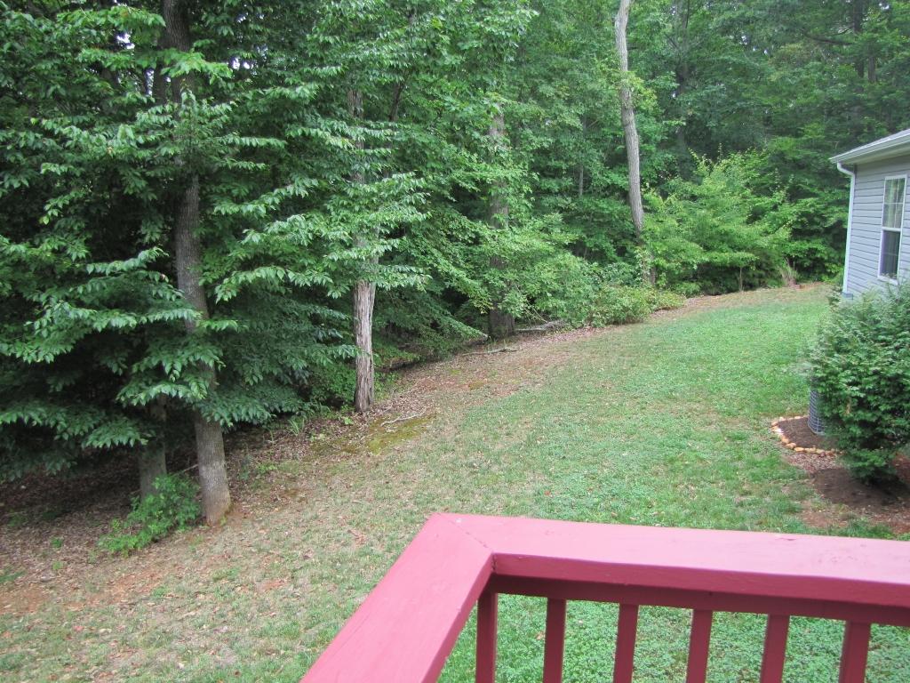 110 Old Post Road Moneta, VA 24121 - Photo 48 of 99 a view of a yard with plants and a bench