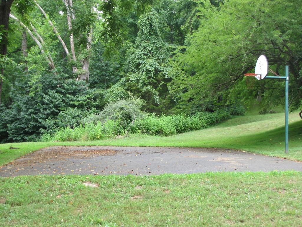 110 Old Post Road Moneta, VA 24121 - Photo 56 of 99 Basketball Court