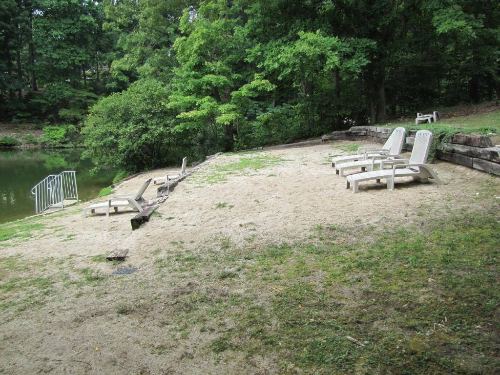 110 Old Post Road Moneta, VA 24121 - Photo 64 of 99 Waterfront Day Use Area-12