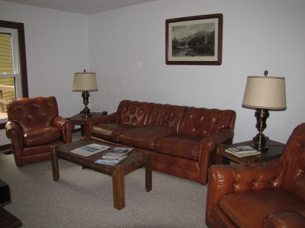 110 Old Post Road Moneta, VA 24121 - Photo 92 of 99 a living room with furniture a lamp and a window
