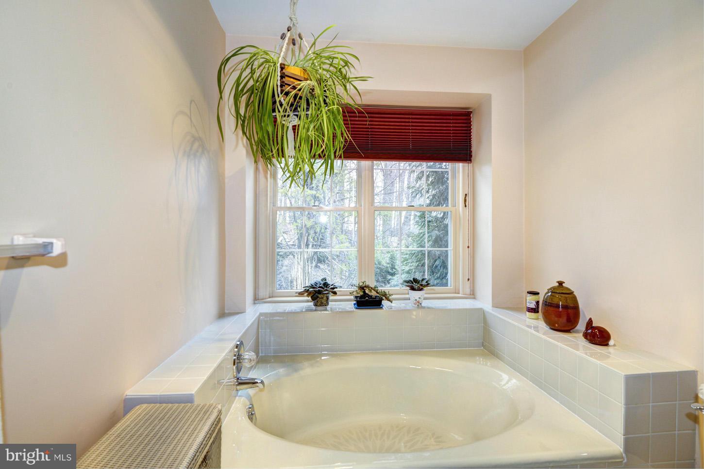 242 Hunters Ridge Road Lutherville-Timonium, MD 21093 - Photo 14 of 30 Bath (Master)