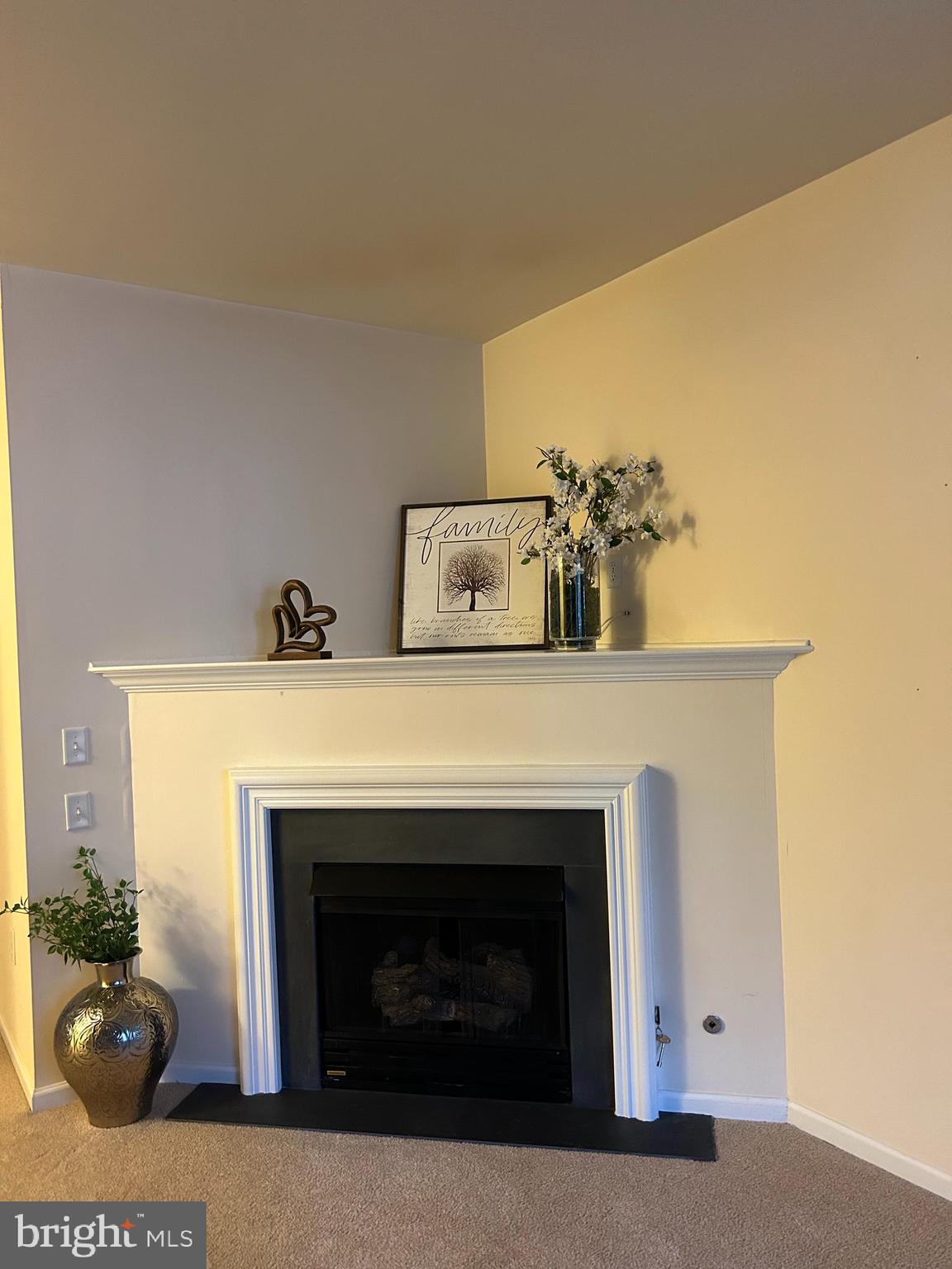 111 Kyle Way Ewing, NJ 08628 - Photo 6 of 25 Fireplace