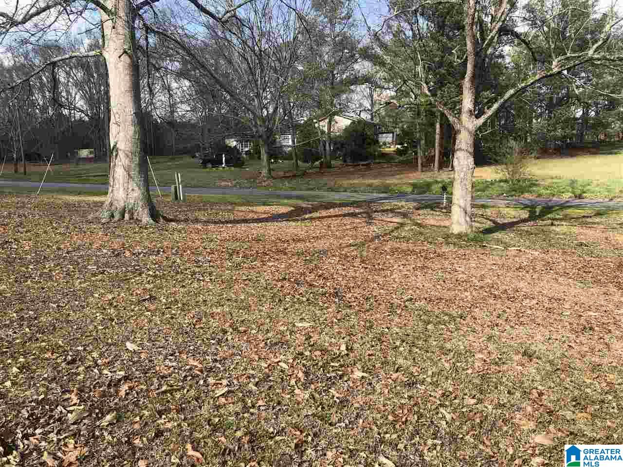 3363 County Road 81 Clanton, AL 35045 - Photo 35 of 35