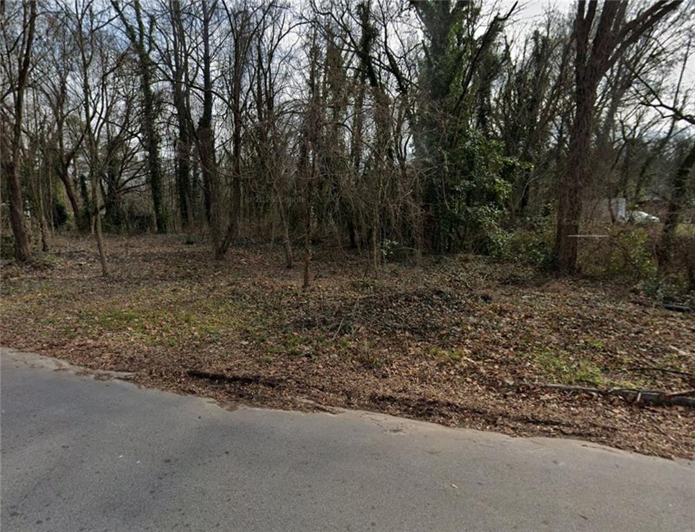 0 Birch Street Southwest Atlanta, GA 30310 - Photo 1 of 2 a view of a forest with trees in the background