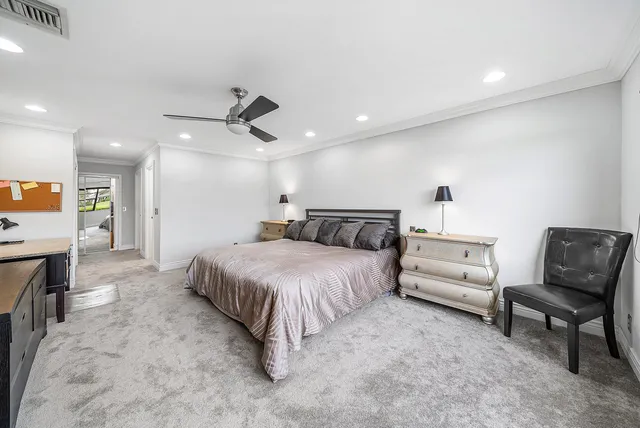 a view of a lake with a palm tree