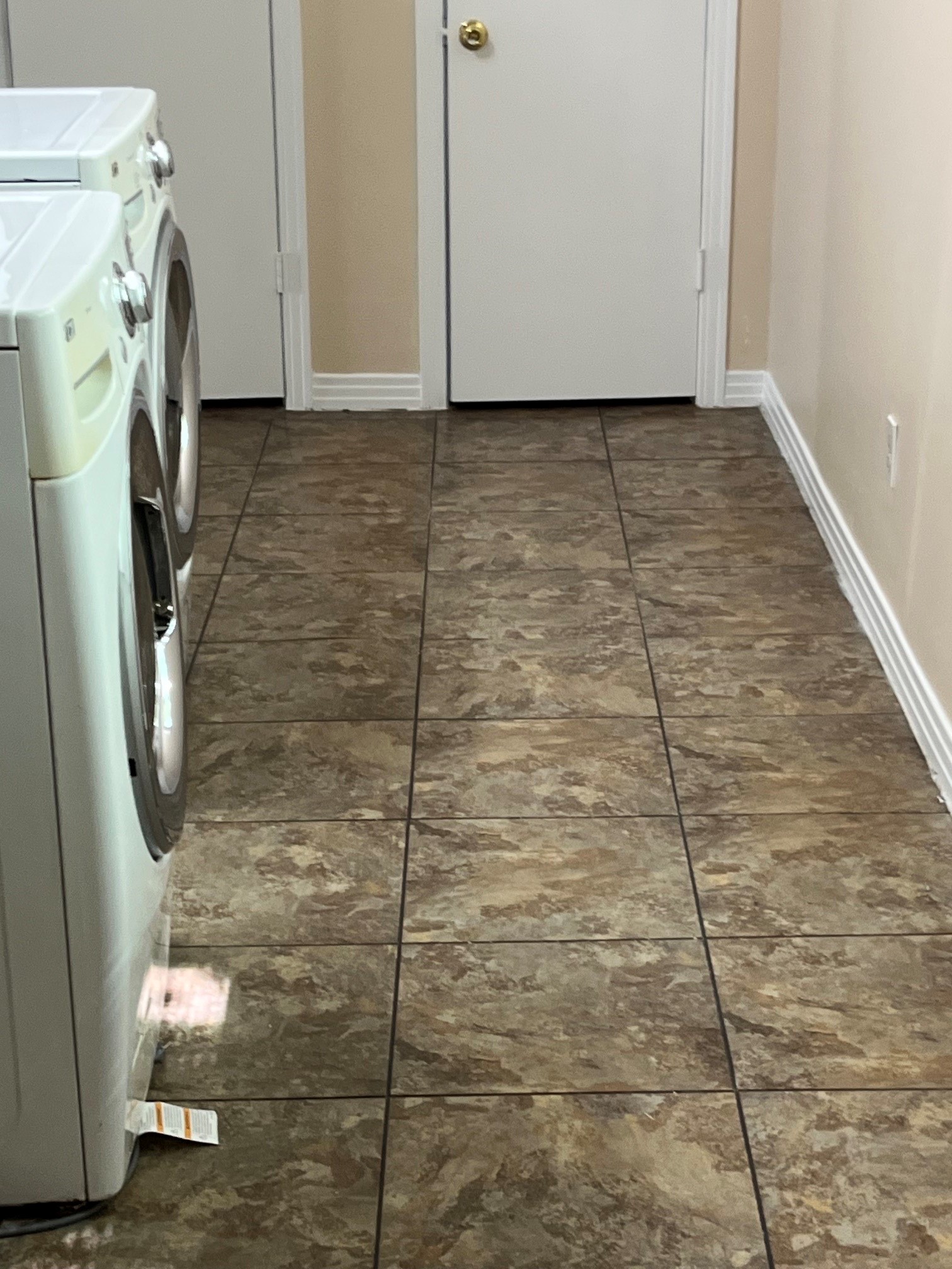 1932 West Bell Street Houston, TX 77019 - Photo 25 of 30
