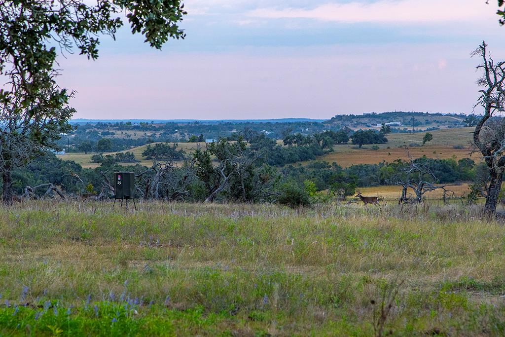 4551 Reeh Road Fredericksburg, TX 78624 - Photo 3 of 69 Gallery Image 3