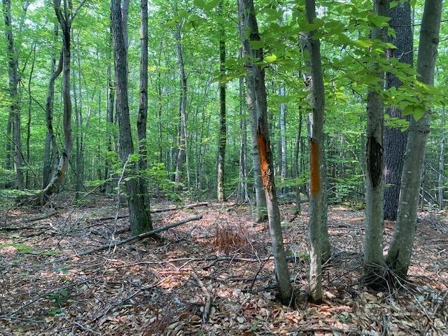 11 Piggott Road Milton, NH 03851 - Photo 3 of 9