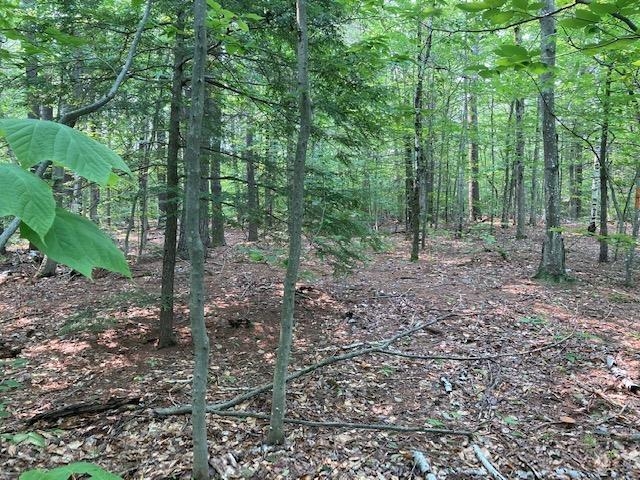 11 Piggott Road Milton, NH 03851 - Photo 7 of 9