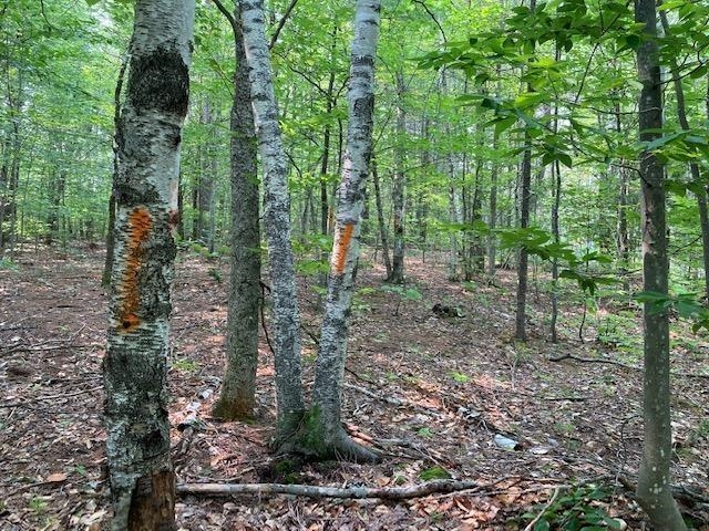 11 Piggott Road Milton, NH 03851 - Photo 8 of 9