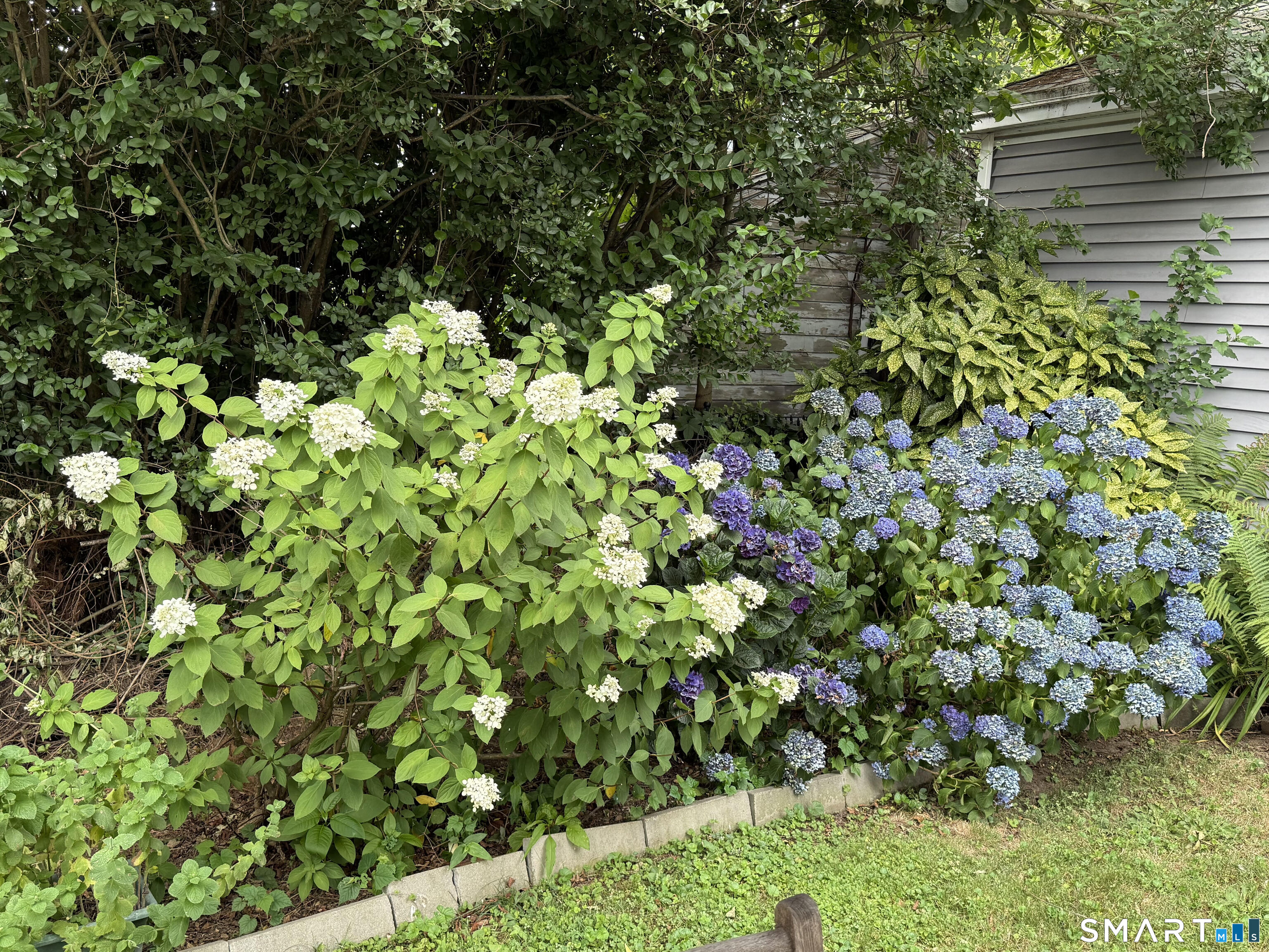 90 Clarkson Street Bridgeport, CT 06605 - Photo 32 of 38