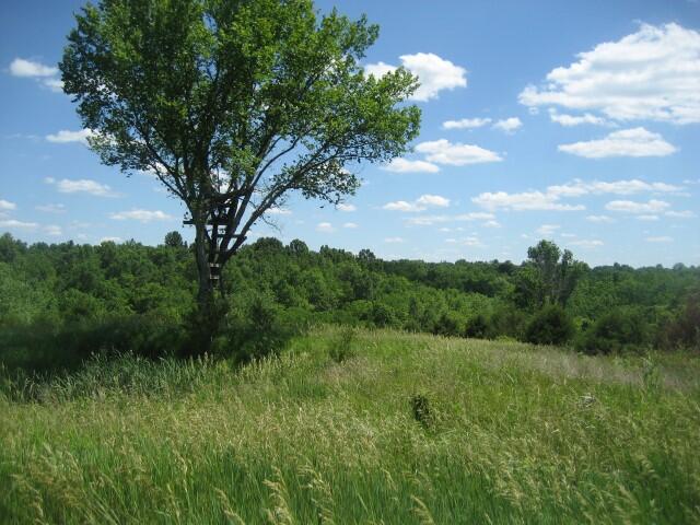1234 C Rutherford School Road Lawrenceburg, KY 40342 - Photo 1 of 14 IMG_0432 (Small)