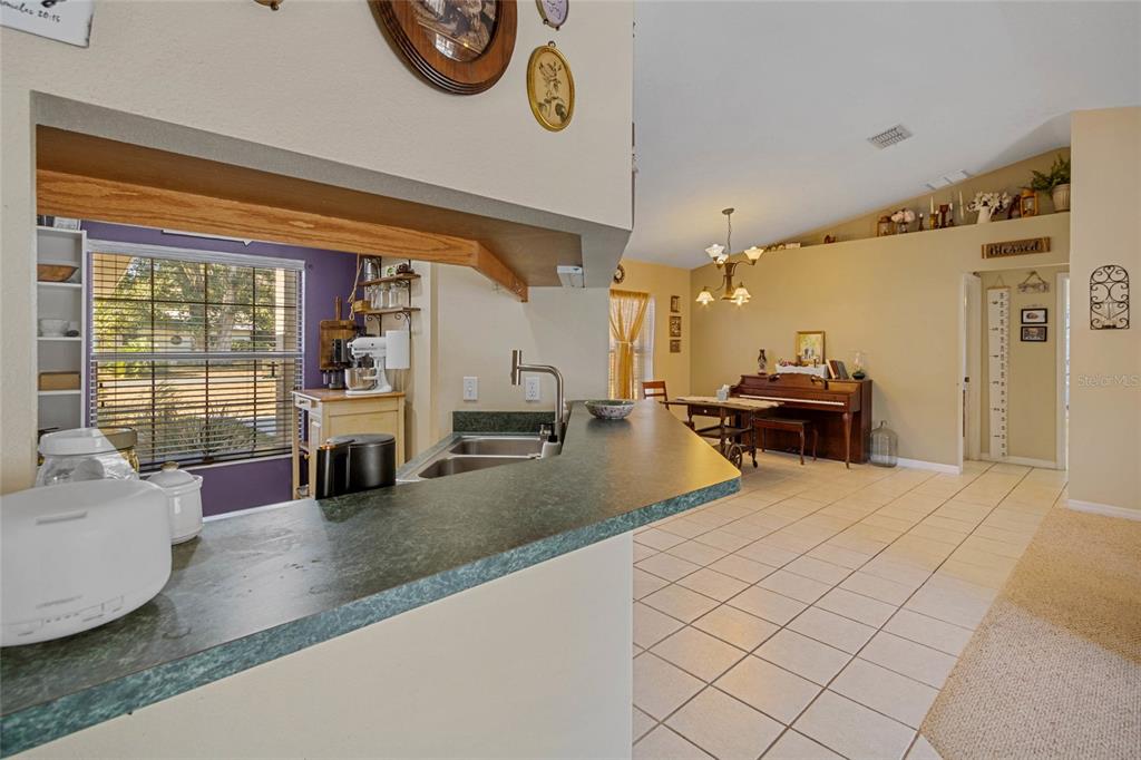 11965 Southeast 70th Avenue Road Belleview, FL 34420 - Photo 63 of 70