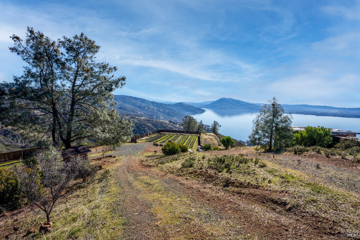 5250 Bartlett Springs Road Upper Lake, CA 95485 - Photo 6 of 18