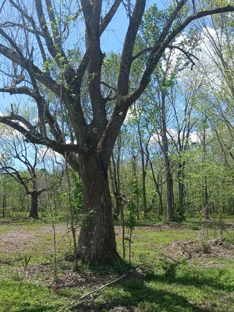 $40,000 | 248 County Road 185, Liberty, TX 77575