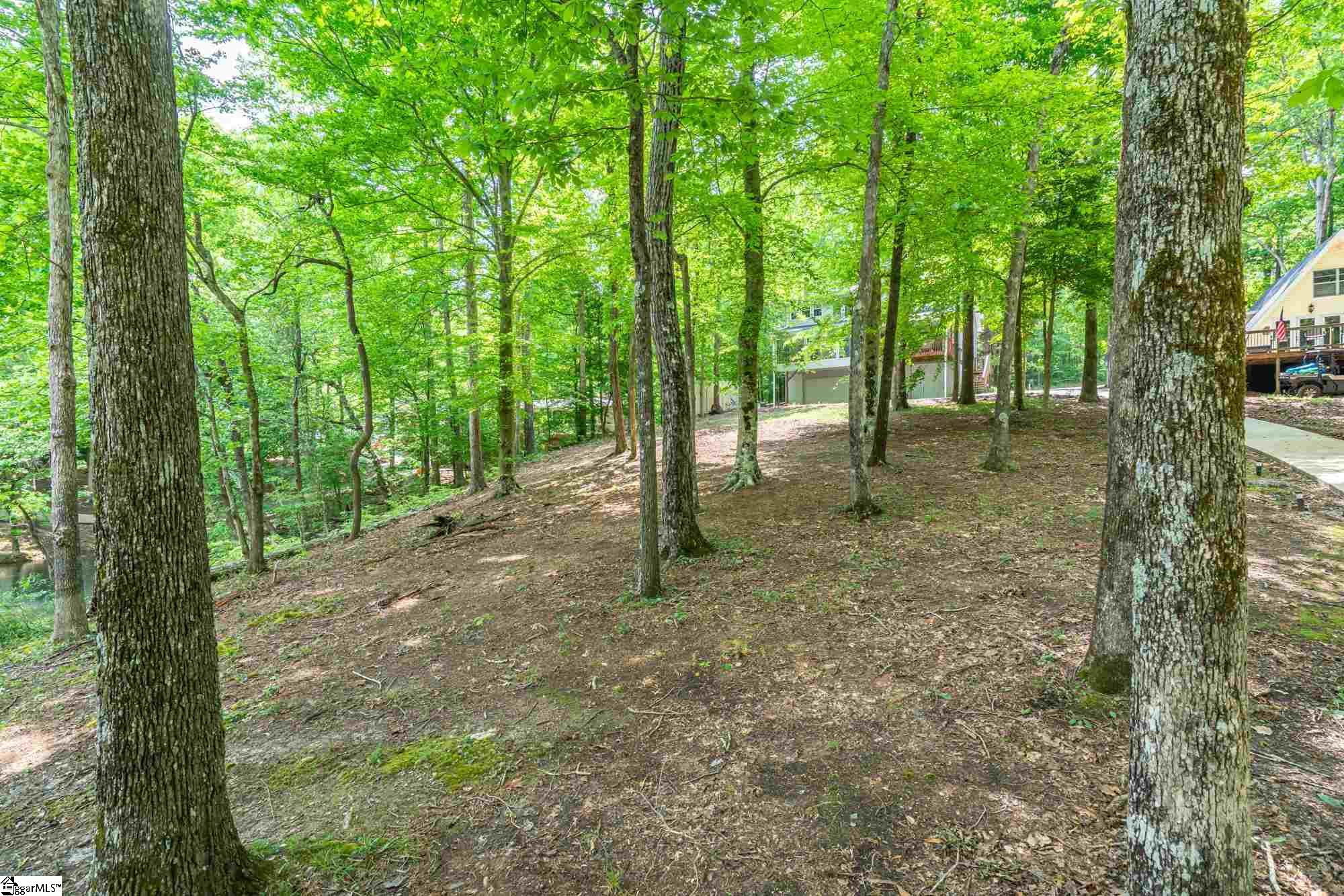 315 Hopkins Road Townville, SC 29689 - Photo 33 of 35 Gallery Image 33