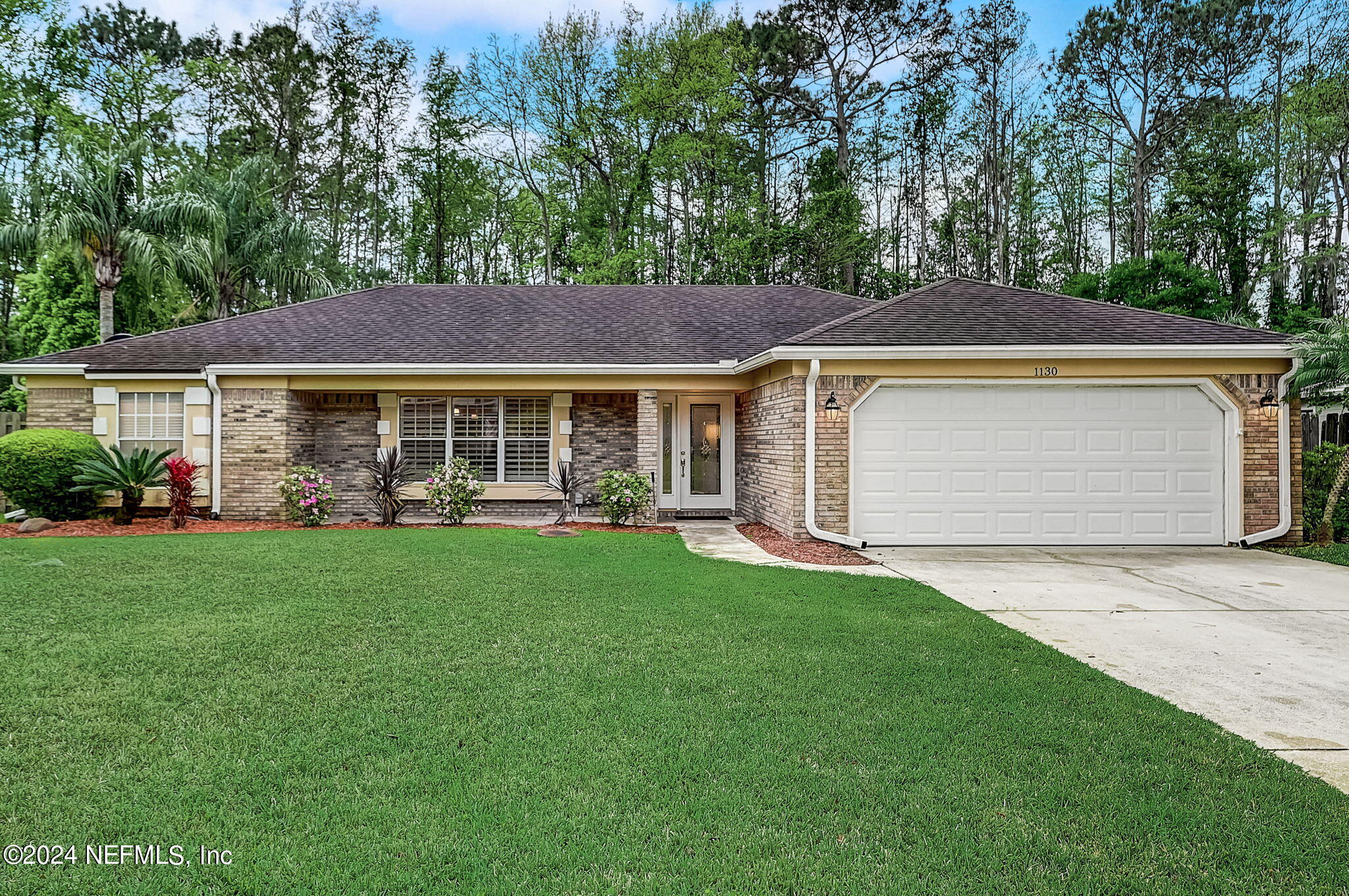 a view of a house with a yard potted plants and large tree