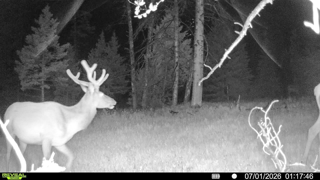 7379 Hahn Creek Road Elliston, MT 59728 - Photo 13 of 69 Gallery Image 13