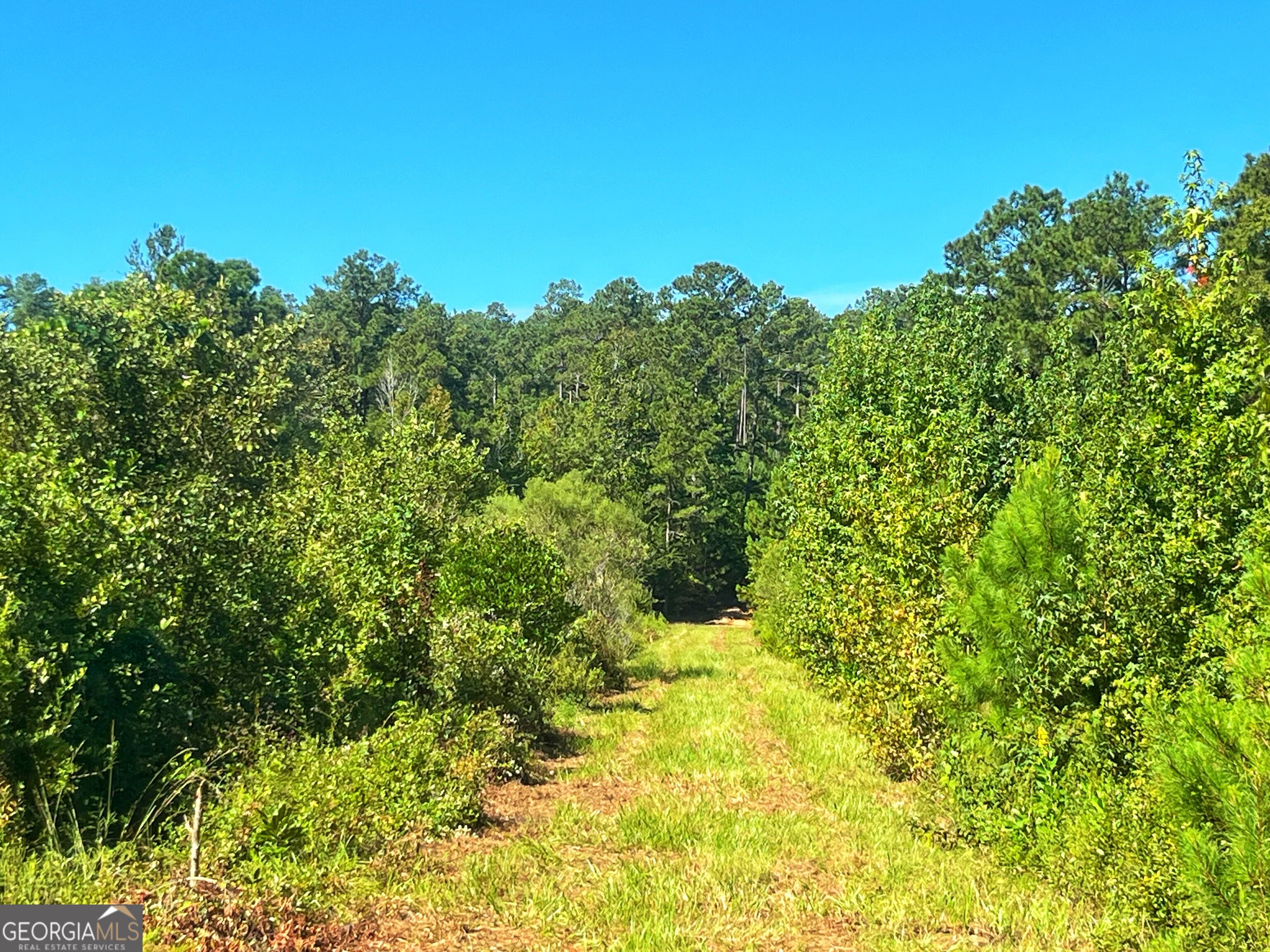 490 Murray Road Bainbridge, GA 39819 - Photo 49 of 67 Gallery Image 49