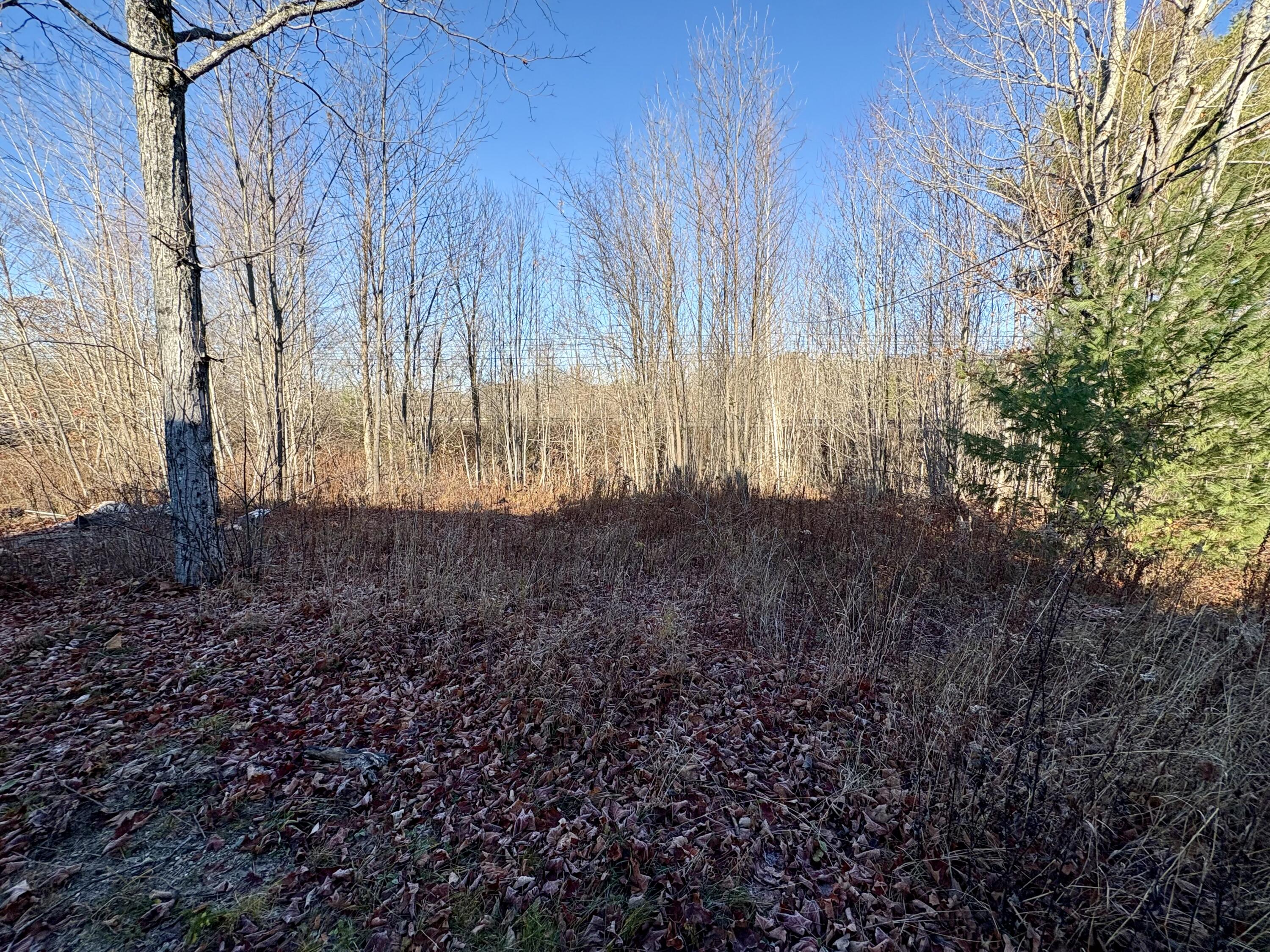 1295 South Main Street Lincoln, ME 04457 - Photo 37 of 41 IMG_8389