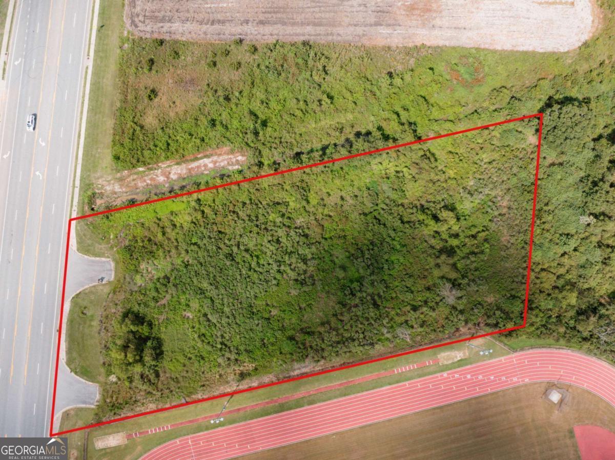 1657 Hatch Parkway South Baxley, GA 31513 - Photo 4 of 6 a view of a yard with plants