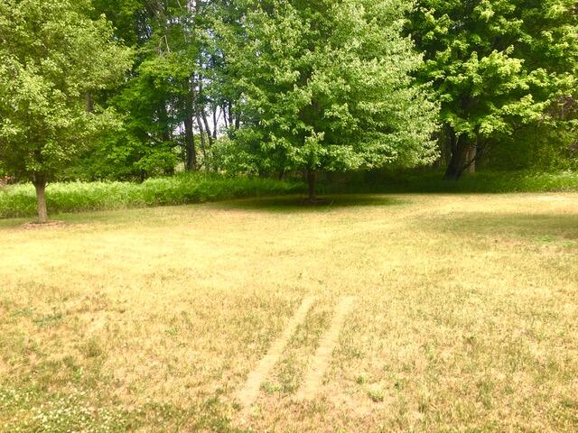11544 Pierce Road Stanwood, MI 49346 - Photo 26 of 28 IMG_3600