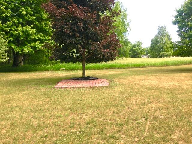 11544 Pierce Road Stanwood, MI 49346 - Photo 27 of 28 IMG_3599